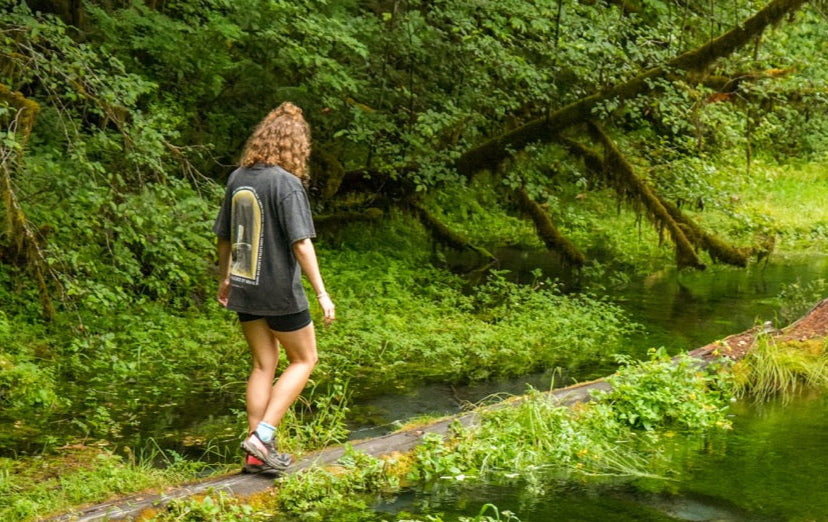 Person walking along a path in a lush green forest