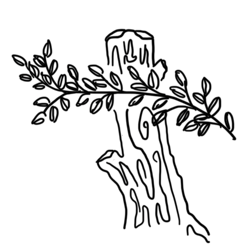 abbiejoy. The Gospel Collective