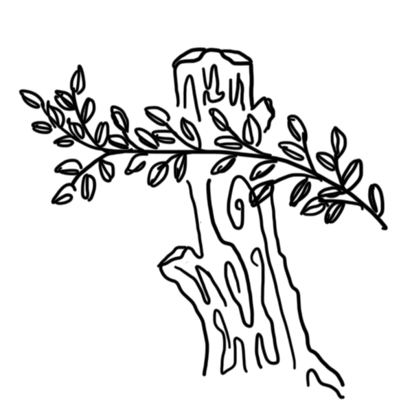 abbiejoy. The Gospel Collective